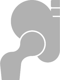 Healthy Hip Joint